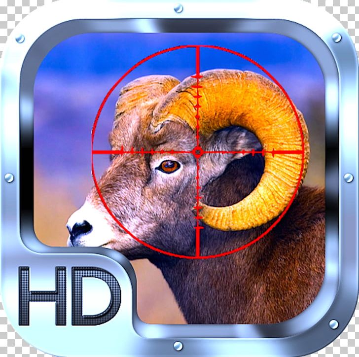 Bighorn Sheep Mountain Goat PNG, Clipart, Alberta, Animal, Animals, Biggame Hunting, Bighorn Sheep Free PNG Download