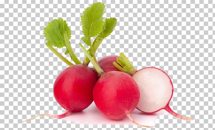Daikon Stock Photography Variety Root Vegetables PNG, Clipart, Beet, Beetroot, Carrot, Cranberry, Daikon Free PNG Download