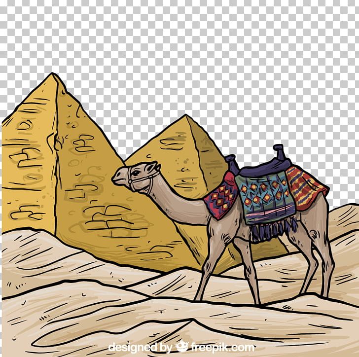 Egyptian Pyramids Bactrian Camel Ancient Egypt Illustration PNG, Clipart, Ancient History, Animals, Arabian Camel, Art, Camel Free PNG Download