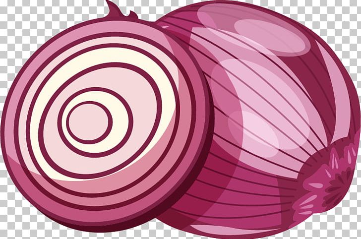 Red Onion Euclidean PNG, Clipart, Adobe Illustrator, Circle, Encapsulated Postscript, Food, Happy Birthday Vector Images Free PNG Download