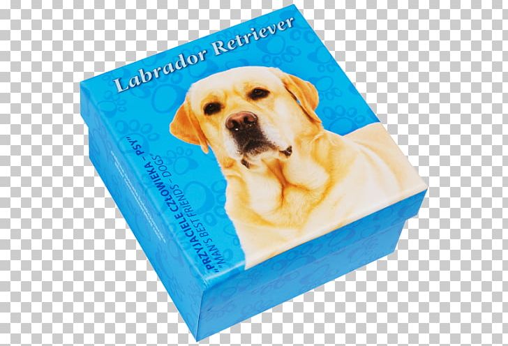 Labrador Retriever Puppy Golden Retriever Dog Breed PNG, Clipart,  Free PNG Download