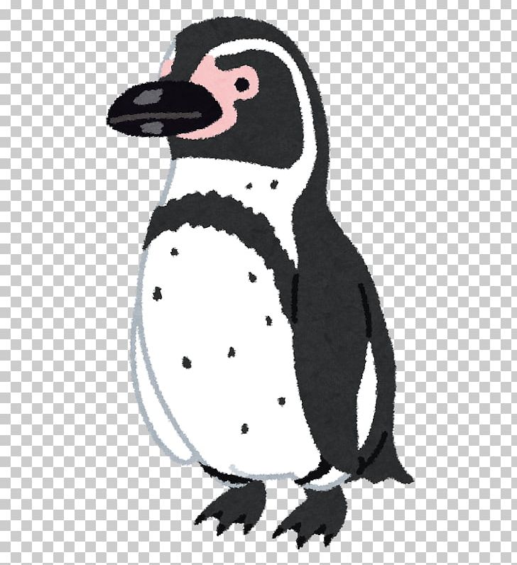 Magellanic Penguin African Penguin Humboldt Penguin Southern Rockhopper Penguin PNG, Clipart, African Penguin, Animals, Antarctic, Antarctica, Banded Penguin Free PNG Download