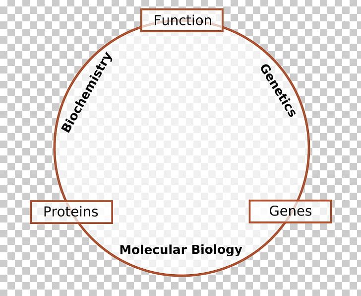 Molecular Biology Genetics Cell Biology Molecule PNG, Clipart, Angle, Area, Biochemistry, Biology, Brand Free PNG Download