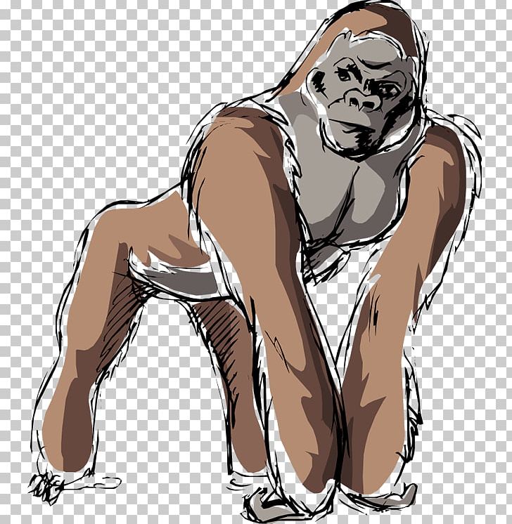 Western Lowland Gorilla Mountain Gorilla Drawing PNG, Clipart, Animal, Animals, Arm, Big Cats, Carnivoran Free PNG Download