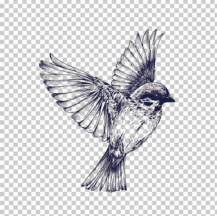 Bird Flight Tattoo Drawing Swallow PNG, Clipart, Animals, Ball, Bird, Color, Fauna Free PNG Download
