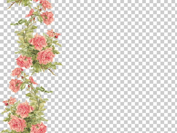 Desktop Rose Flower PNG, Clipart, Branch, Color, Cut Flowers, Desktop, Flora Free PNG Download