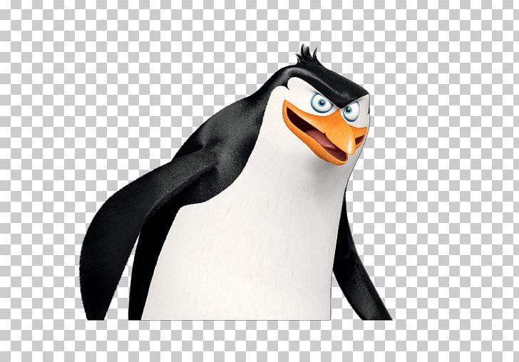 Rico Kowalski Skipper YouTube Penguin PNG, Clipart,  Free PNG Download