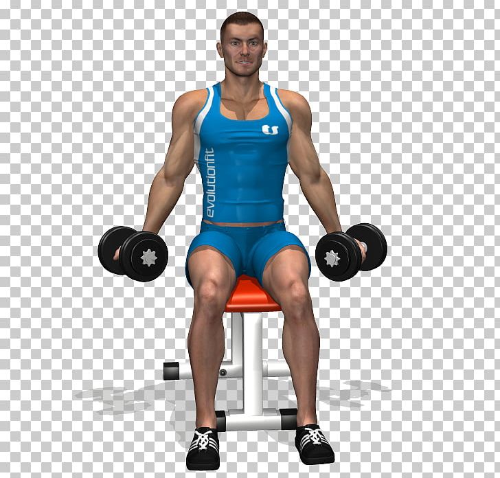 Weight Training Barbell Biceps Curl Dumbbell PNG, Clipart, Abdomen, Active Undergarment, Arm, Bodybuilder, Boxing Glove Free PNG Download