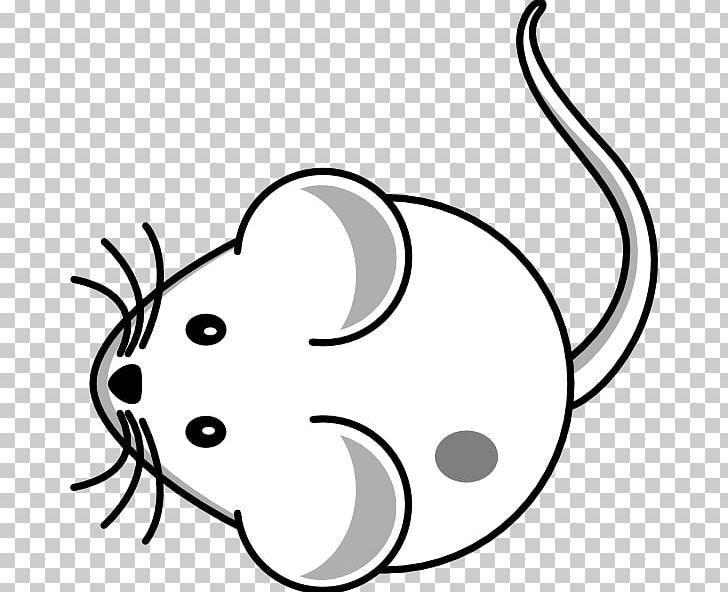 Computer Mouse Whiskers Drawing PNG, Clipart, Animated Film, Black, Carnivoran, Cartoon, Cat Like Mammal Free PNG Download