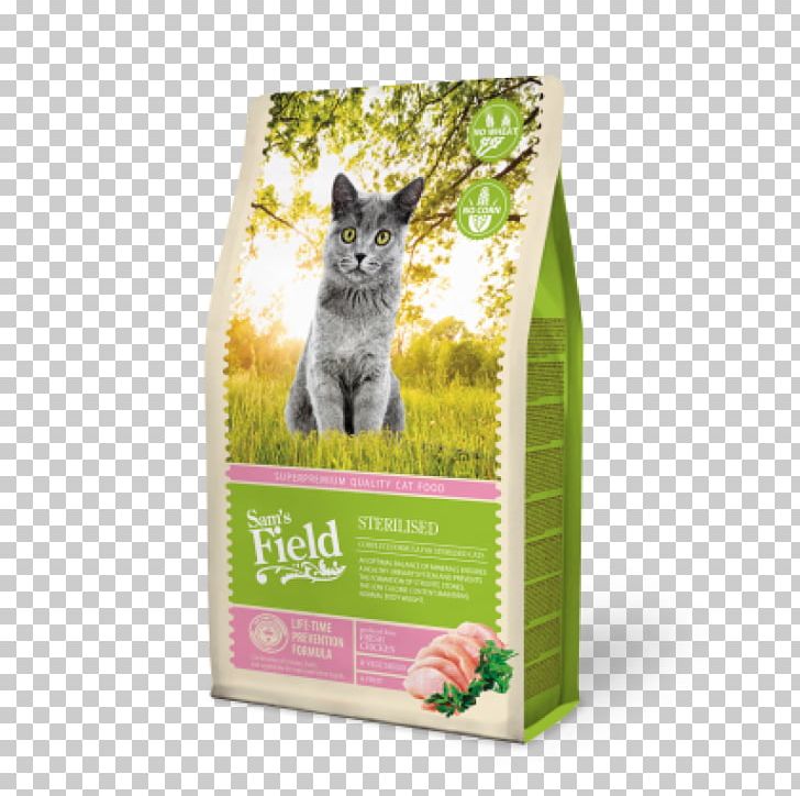 Kitten Cat Food Les Chatons Torrfoder PNG, Clipart, Animals, Cat, Cat Food, Chicken As Food, Dog Food Free PNG Download