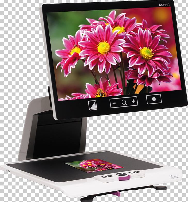 Laptop Desktop 1080p Computer Monitors Widescreen PNG, Clipart, 169, 1080p, Computer Monitor, Computer Monitors, Desktop Computers Free PNG Download