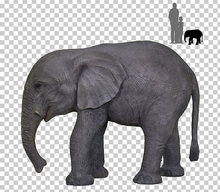 Maldon African Elephant Rubino Kitchen At Chigborough Lodge Indian Elephant PNG, Clipart, African Elephant, Animal, Animals, Elephant, Elephants And Mammoths Free PNG Download