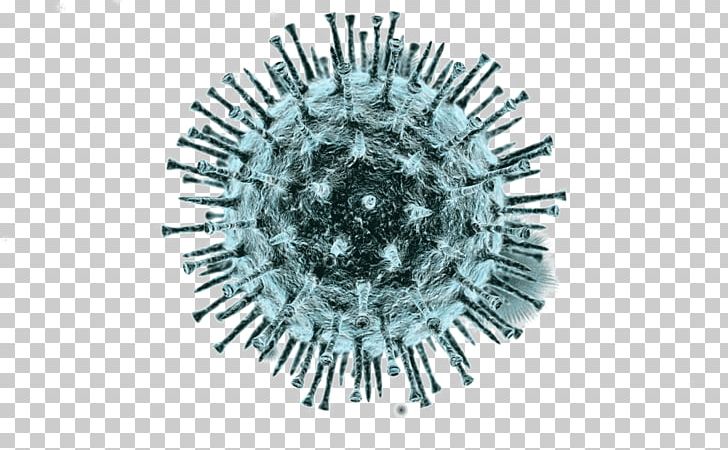 Virus Viral PNG, Clipart, Bacteriophage, Cell, Circle, Clip Art, Digital Image Free PNG Download