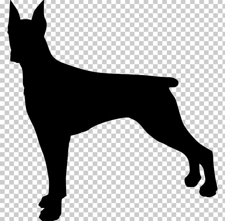 Dobermann German Shepherd Rottweiler PNG, Clipart, Black, Black And White, Carnivoran, Dobermann, Dog Free PNG Download