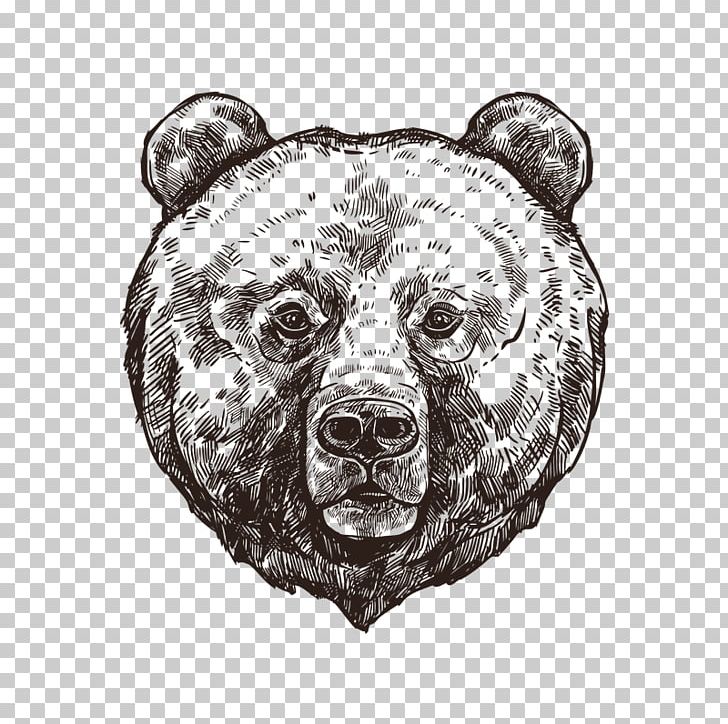 Grizzly Bear Polar Bear Sketch PNG, Clipart, Animal, Animals, Bear, Black And White, Carnivoran Free PNG Download