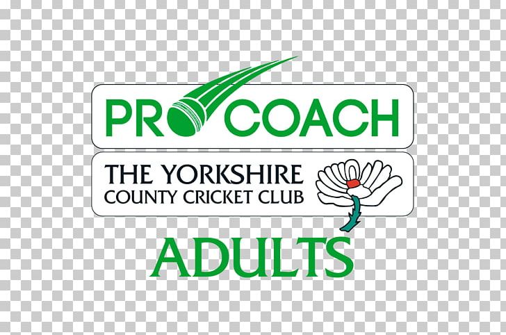 Yorkshire County Cricket Club Pro Coach Cricket Academy Wicket PNG, Clipart, Area, Batting, Bowling Cricket, Brand, Chris Taylor Free PNG Download