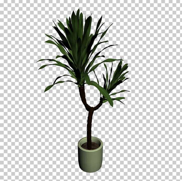 Yucca Filamentosa Houseplant Plant Stem Flowerpot PNG, Clipart, Arecales, Computer Software, Evergreen, Flowerpot, Food Drinks Free PNG Download