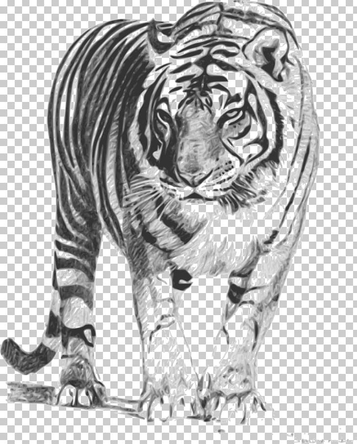 Bengal Cat Bengal Tiger Lion Felidae PNG, Clipart, Animals, Art, Bengal Cat, Bengal Tiger, Big Cat Free PNG Download