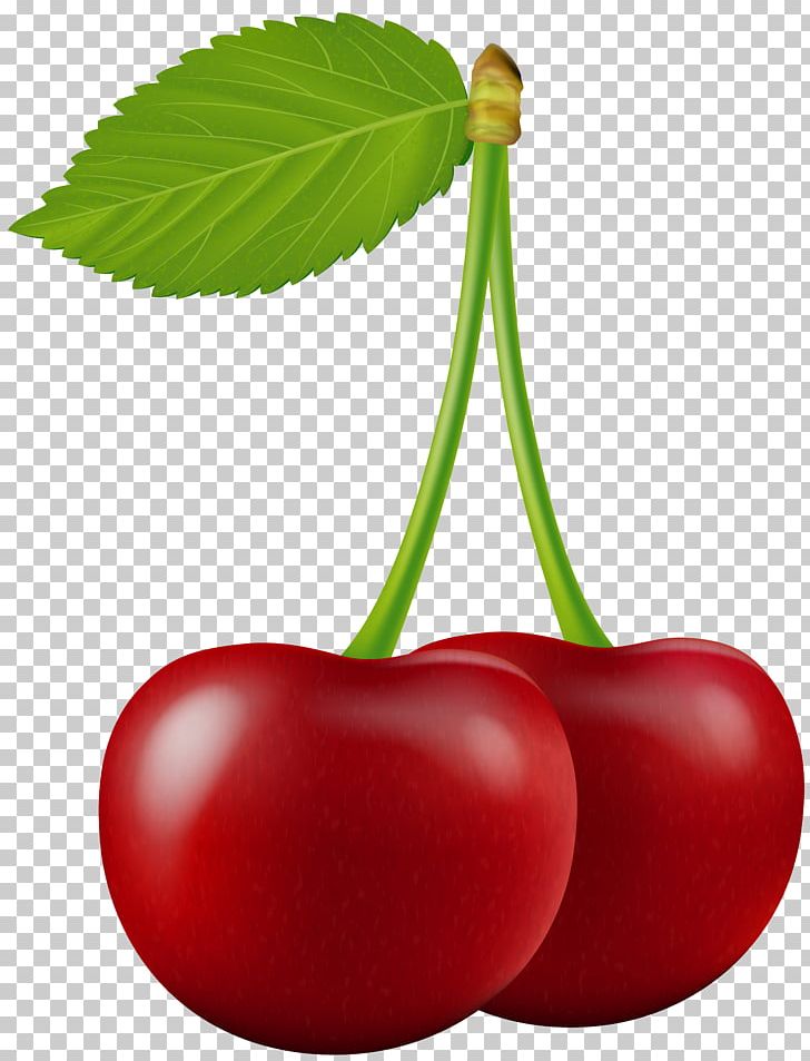 Cherry Fruit PNG, Clipart, Blog, Cherry, Computer Icons, Download, Food Free PNG Download
