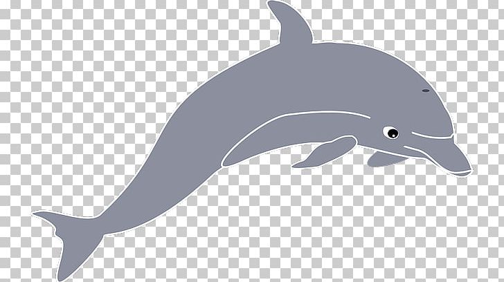 Dolphin Open Free Content PNG, Clipart, Animals, Beak, Bottlenose Dolphin, Cetacea, Common Bottlenose Dolphin Free PNG Download