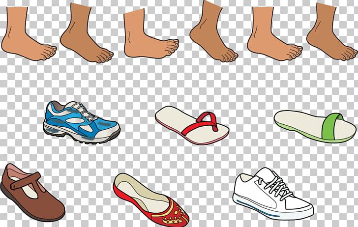 Shoe Clothing Accessories Walking Product PNG, Clipart, Area, Clothing Accessories, Fashion, Fashion Accessory, Footwear Free PNG Download
