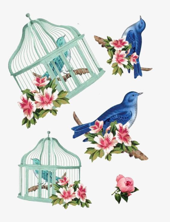 Art Birdcage PNG, Clipart, Art Clipart, Birdcage, Birdcage Clipart, Birds, Blue Free PNG Download