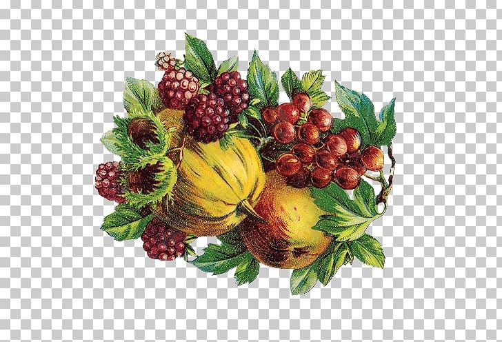 Berry Fruit Auglis Vegetable PNG, Clipart, Apple Fruit, Art, Auglis, Berry, Berry Fruit Free PNG Download