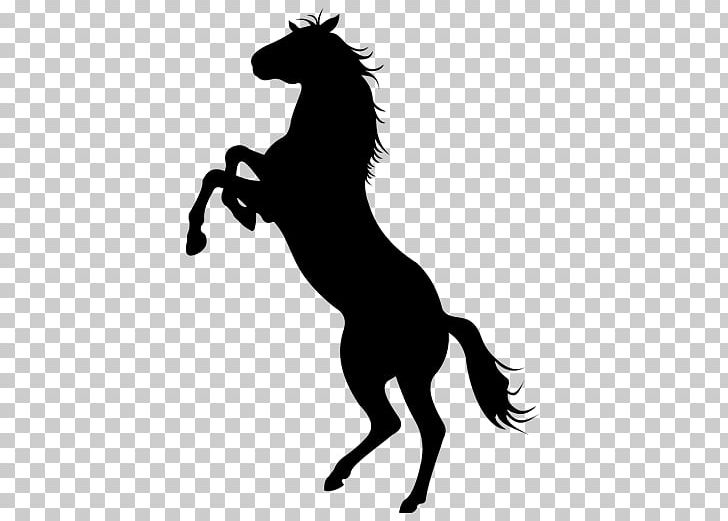 Mustang Appaloosa Stallion Silhouette PNG, Clipart, Art, Black, Black And White, Bridle, Colt Free PNG Download