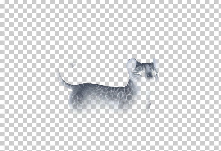 Whiskers Puppy Cat Dog Lion PNG, Clipart, Animals, Body Jewelry, Carnivoran, Cat, Cat Like Mammal Free PNG Download