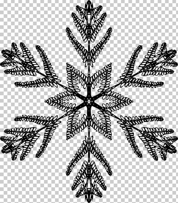 Black And White Snowflake Symmetry PNG, Clipart, Art, Black And White, Download, Leaf, Monochrome Photography Free PNG Download