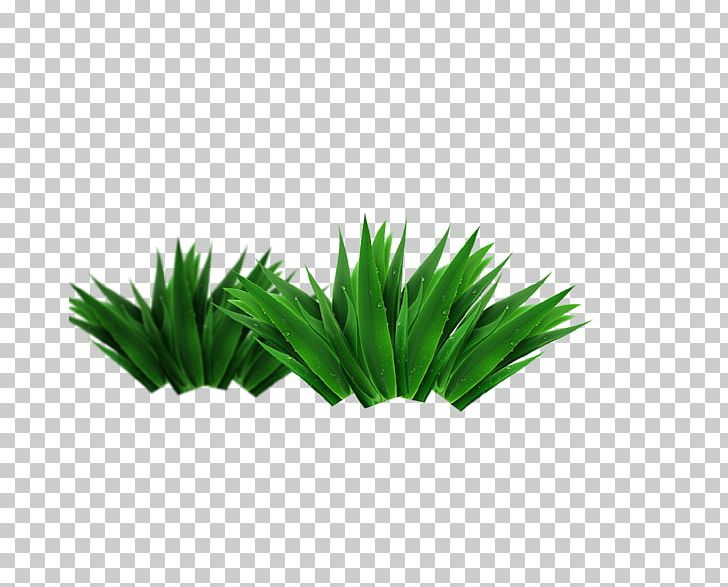 Computer File PNG, Clipart, Aloe, Aloe Plant, Aloe Vera, Aloe Vera Crush, Aloe Vera Gel Free PNG Download