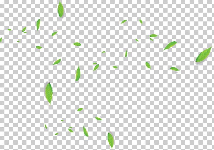 Green Leaf PNG, Clipart, Angle, Backgroun, Background Material, Banana Leaves, Circle Free PNG Download