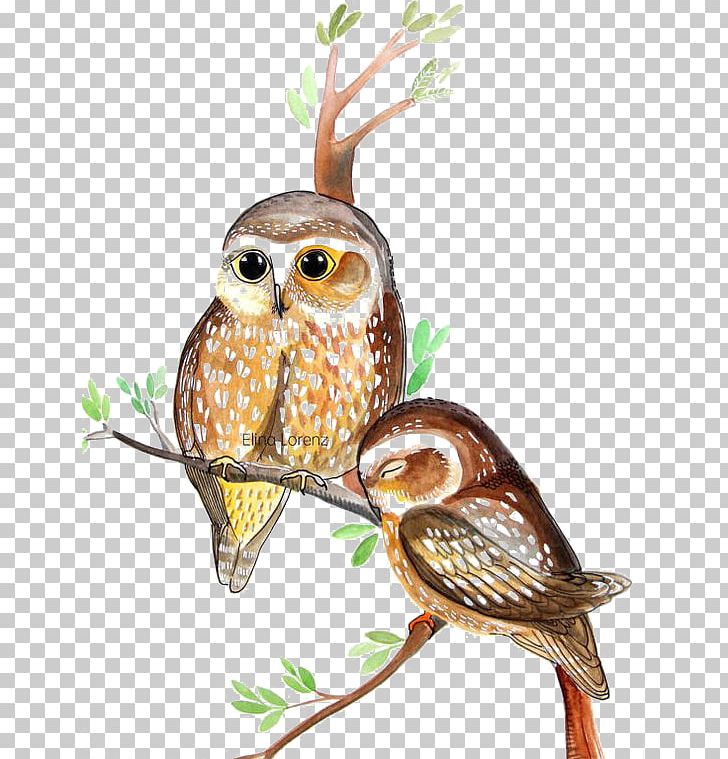 Owl Watercolor Painting PNG, Clipart, Adobe Illustrator, Animal, Animals, Bird, Cartoon Free PNG Download