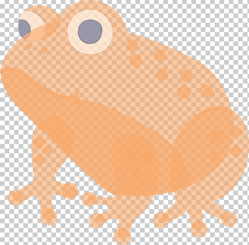 Toad Anaxyrus Wood Frog Frog True Frog PNG, Clipart, Anaxyrus, Bufo, Fawn, Frog, Hyla Free PNG Download