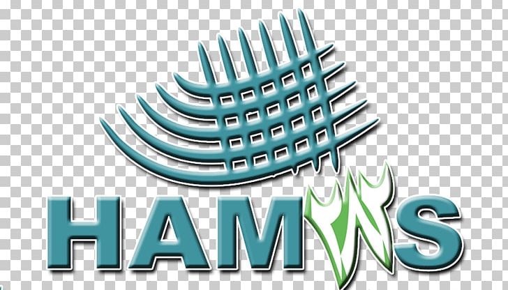 Hamas Himpunan Mahasiswa Jurusan STEI Tazkia Accounting Logo PNG, Clipart, 2015, 2016, Accounting, Brand, Competition Free PNG Download