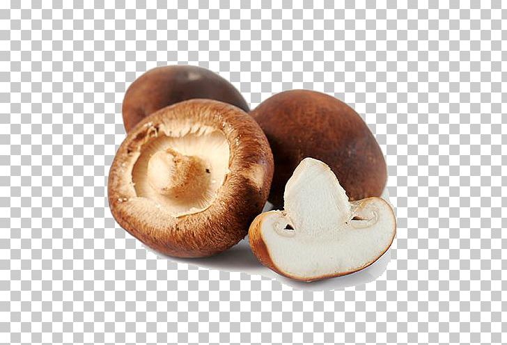 Hot Pot Bibimbap Mushroom Shiitake PNG, Clipart, Agaricomycetes, Bmp File Format, Edible Mushroom, Enokitake, Food Free PNG Download