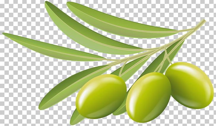 Olive PNG, Clipart, Art Green, Clipart, Clip Art, Computer Icons, Food Free PNG Download