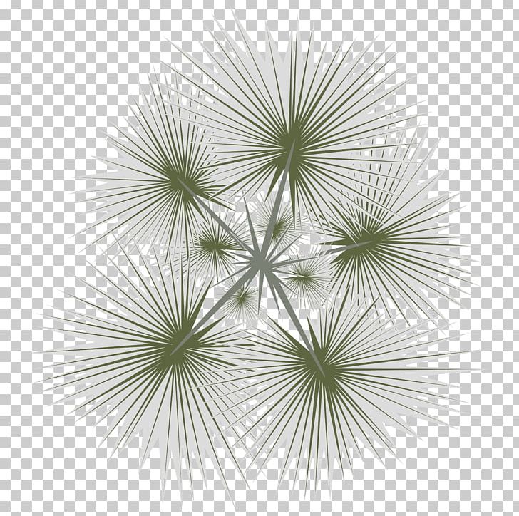Tree Arecaceae PNG, Clipart, Arecaceae, Byte, Clip Art, Computer Icons, Data Free PNG Download