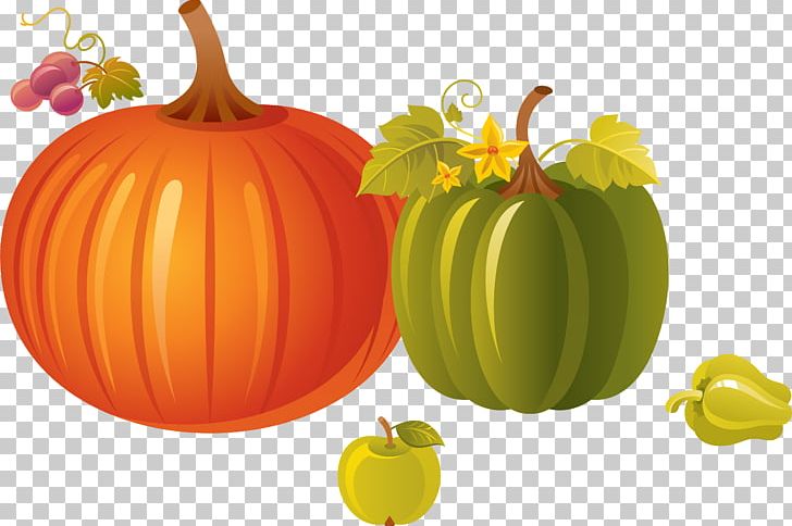 Calabaza Vegetarian Cuisine Pumpkin Winter Squash Gourd PNG, Clipart, Christmas Decoration, Cooking Oil, Cucumber Gourd And Melon Family, Decorative, Food Free PNG Download