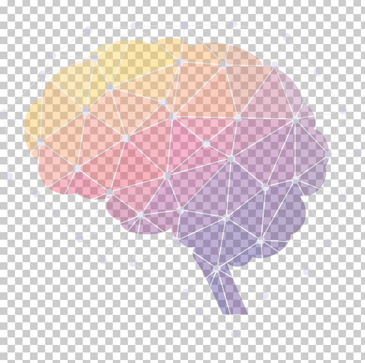Graphics Human Brain Illustration PNG, Clipart, Brain, Circle, Computer Wallpaper, Human, Human Body Free PNG Download