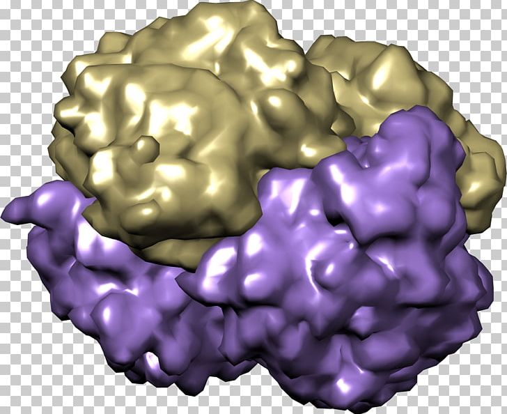 Hemoglobin Organism Chemist Oxygen Purple PNG, Clipart, 1 C 7, Brain, Chemist, Food, Hemoglobin Free PNG Download