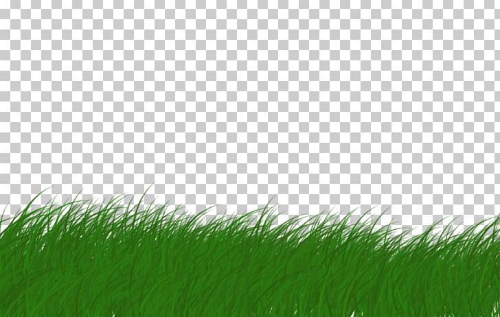 Lawn Animaatio PNG, Clipart, Anima, Animaatio, Cartoon, Computer, Computer Font Free PNG Download