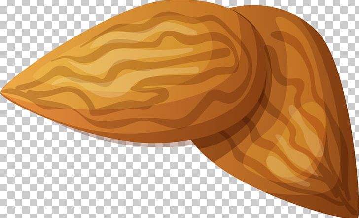 Almond Euclidean PNG, Clipart, Almond, Almond Vector, Apricot Kernel, Designer, Dried Fruit Free PNG Download