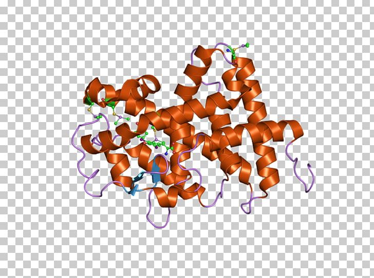 Thyroid Hormone Receptor Alpha Thyroid Hormone Receptor Beta Nuclear Receptor PNG, Clipart, Biochemistry, Crystal Structure, Group, Hormone, Hormone Receptor Free PNG Download