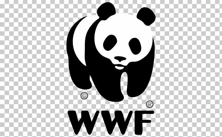 World Wide Fund For Nature Logo Design Giant Panda WWF Adria PNG, Clipart, Black, Black And White, Brand, Carnivoran, Chie Free PNG Download
