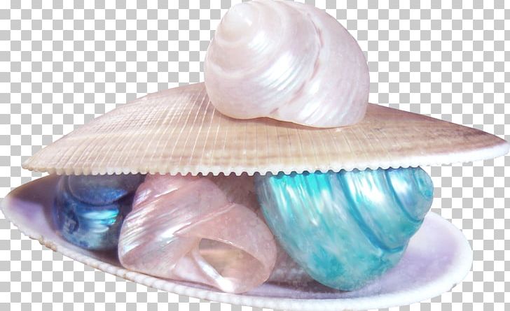 Beach Of La Concha Sandy Beach Seashell PNG, Clipart, Aquatic, Aquatic Product, Beach, Clams Oysters Mussels And Scallops, Color Free PNG Download