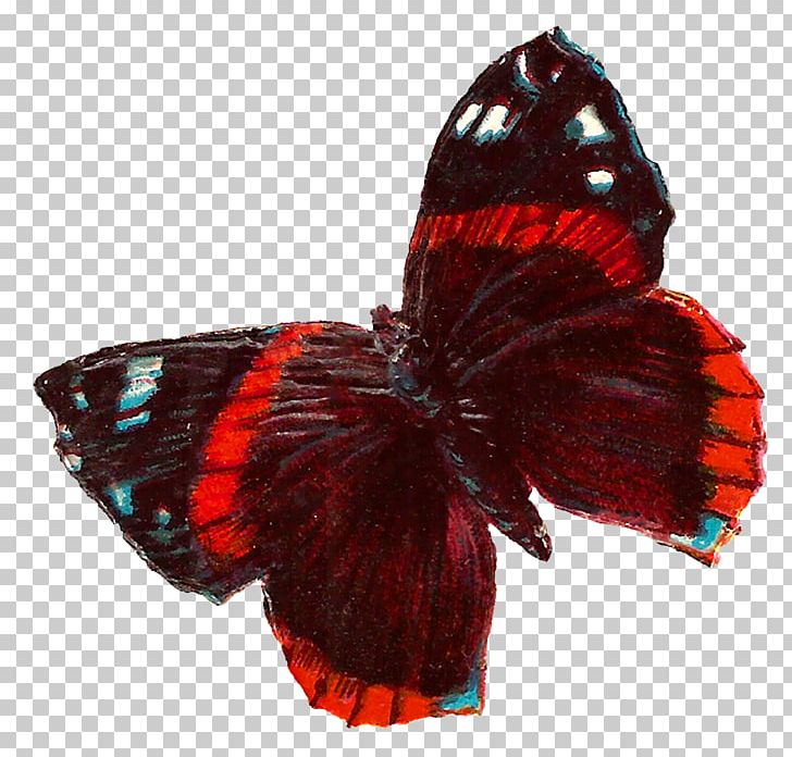 Butterfly Insect PNG, Clipart, Art, Arthropod, Brush Footed Butterfly, Butterflies And Moths, Butterfly Free PNG Download