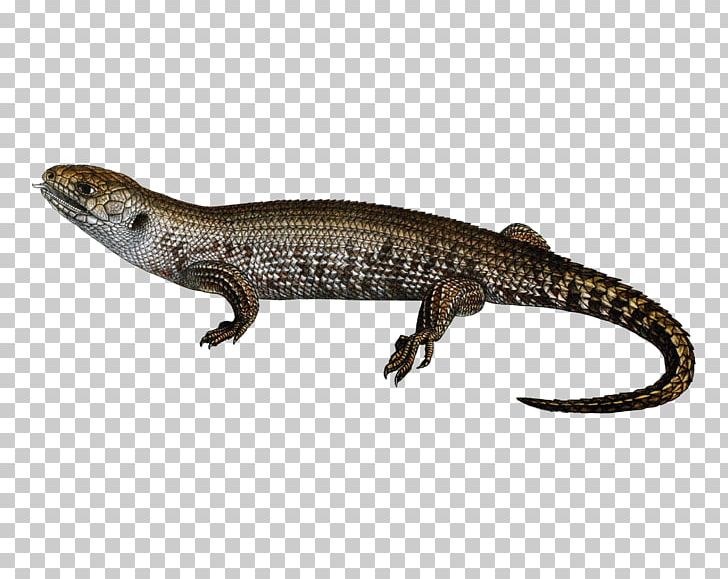 Lizard Icon PNG, Clipart, Animals, Computer Icons, Egernia, Fauna, Free Free PNG Download