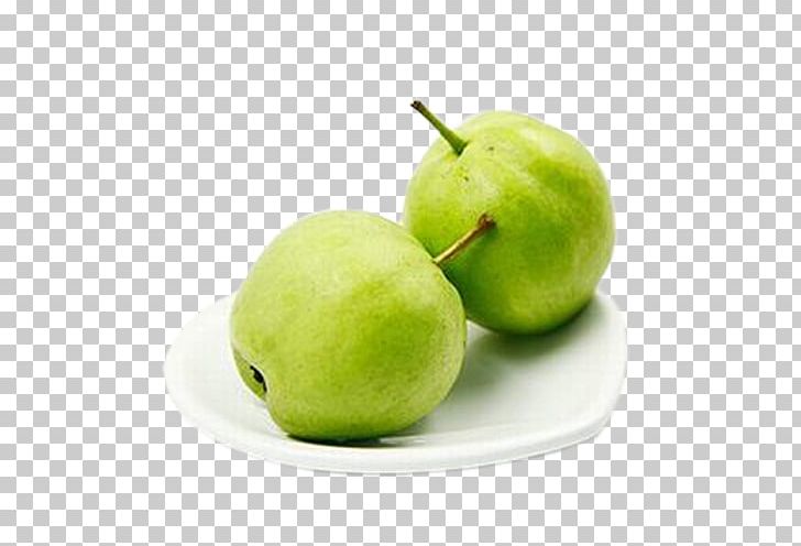 Pyrus Xd7 Bretschneideri Zhangye Tianshui Jinchang Fruit PNG, Clipart, Apple, Auglis, Diet Food, Early, Early Pear Free PNG Download