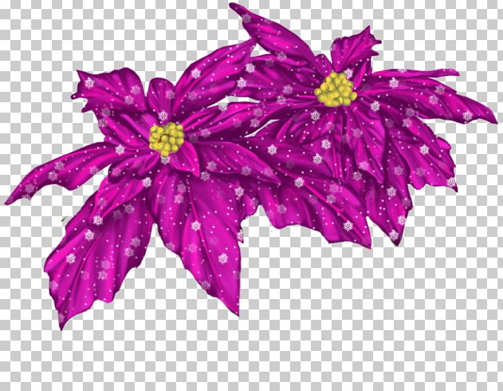 Flower PICT PNG, Clipart, Art, Cari, Chrysanths, Cut Flowers, Deco Free PNG Download